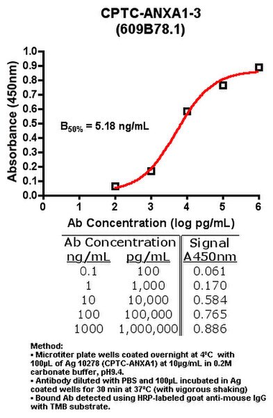 Indirect ELISA (ie, binding of Antibody to Antigen coated plate). Result: High Binding 